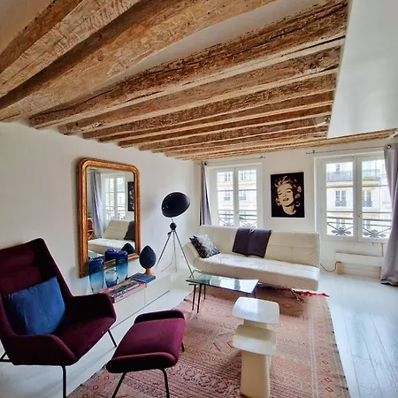 Luxury Design Place Des Vosges